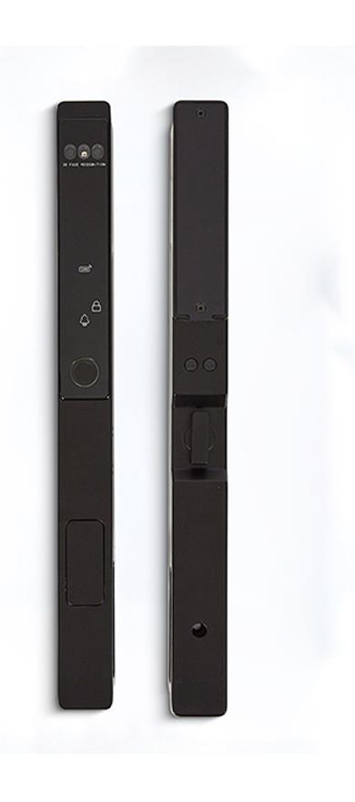 WF-021 Vollautomatisches 3D-Gesichts- und Handvenen-Aluminiumtürschloss
